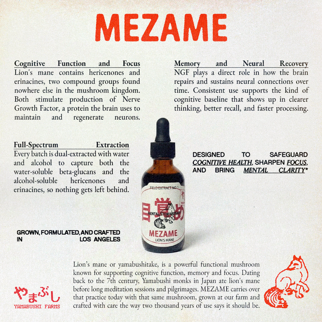 MEZAME