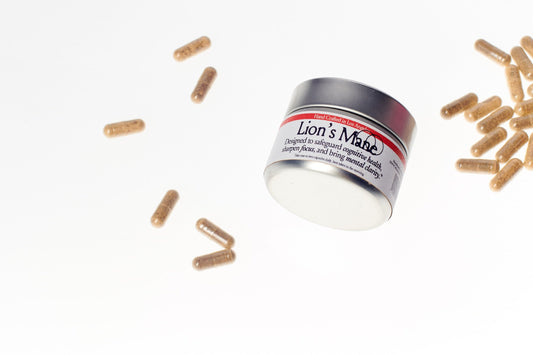 Lion's Mane Health Benefits