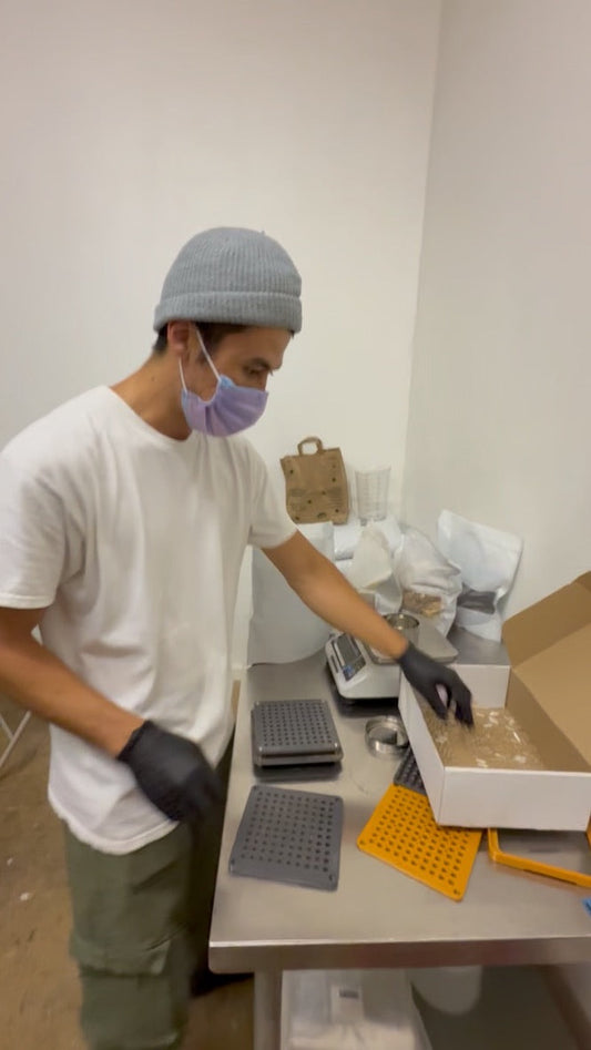 How Our Lion's Mane Supplement Products Are Made
