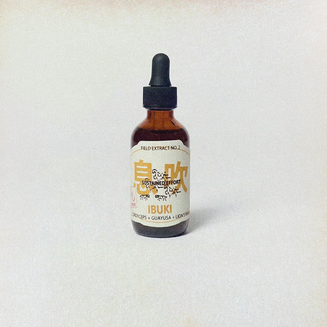 IBUKI Tincture: Lion’s Mane, Cordyceps, and Guayusa for Energy and Focus