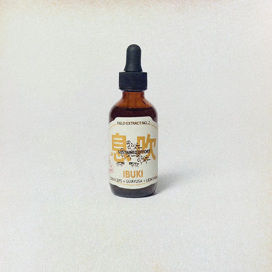 IBUKI Tincture: Lion’s Mane, Cordyceps, and Guayusa for Energy and Focus