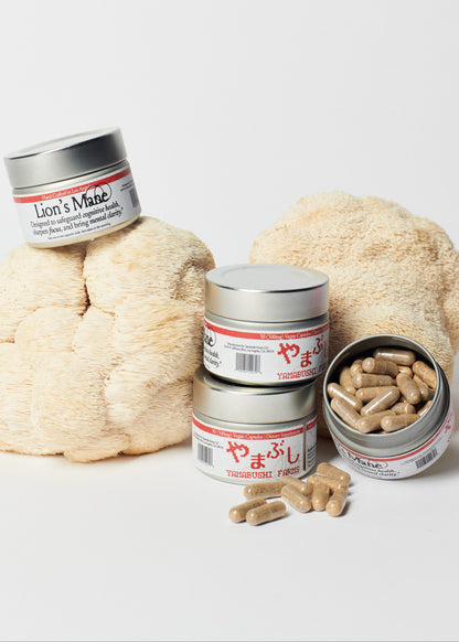 Sub-Critical Fruiting Body Lion's Mane Capsules