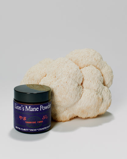 Lion’s Mane Powder – Ultra-Fine, Full-Spectrum Cognitive Support