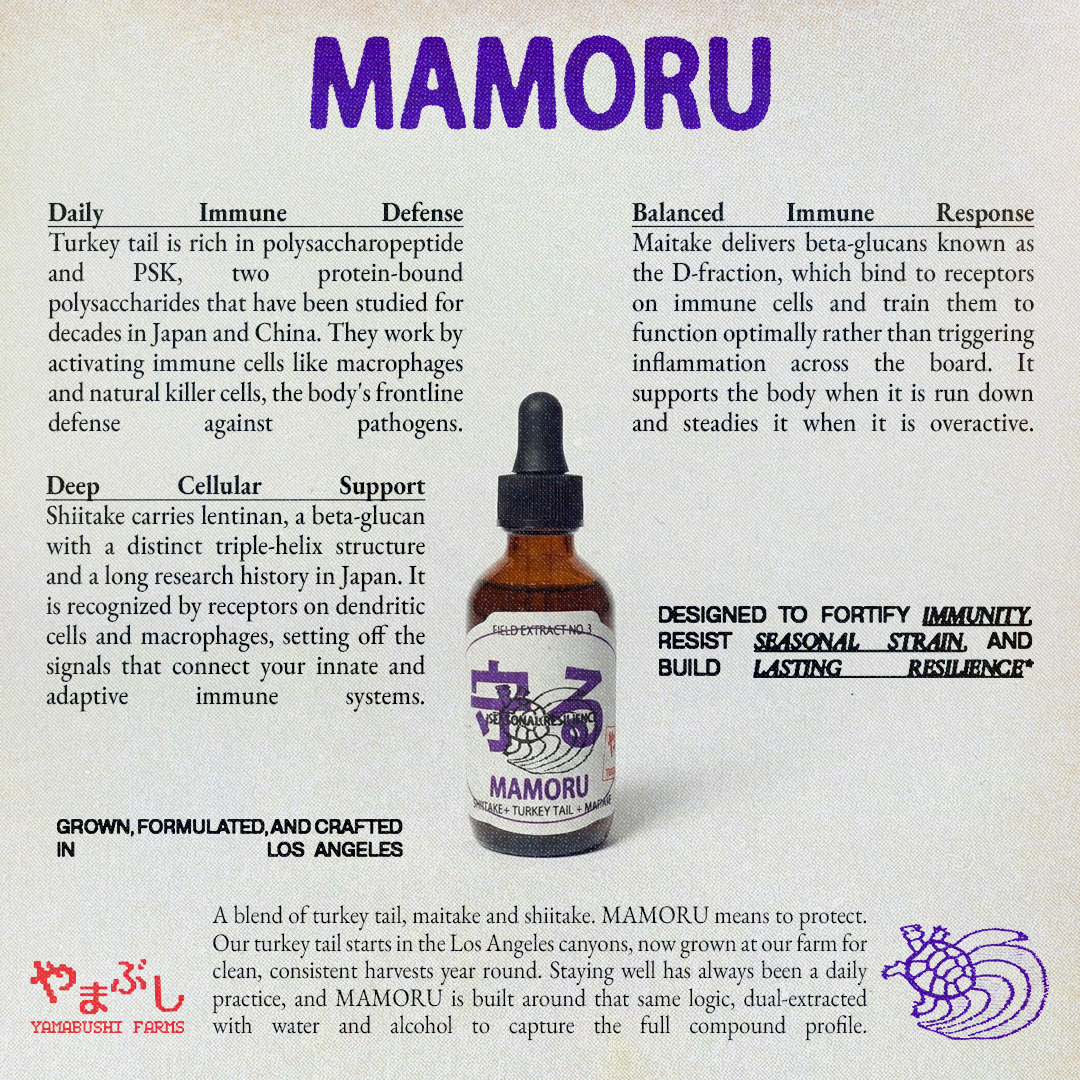 MAMORU